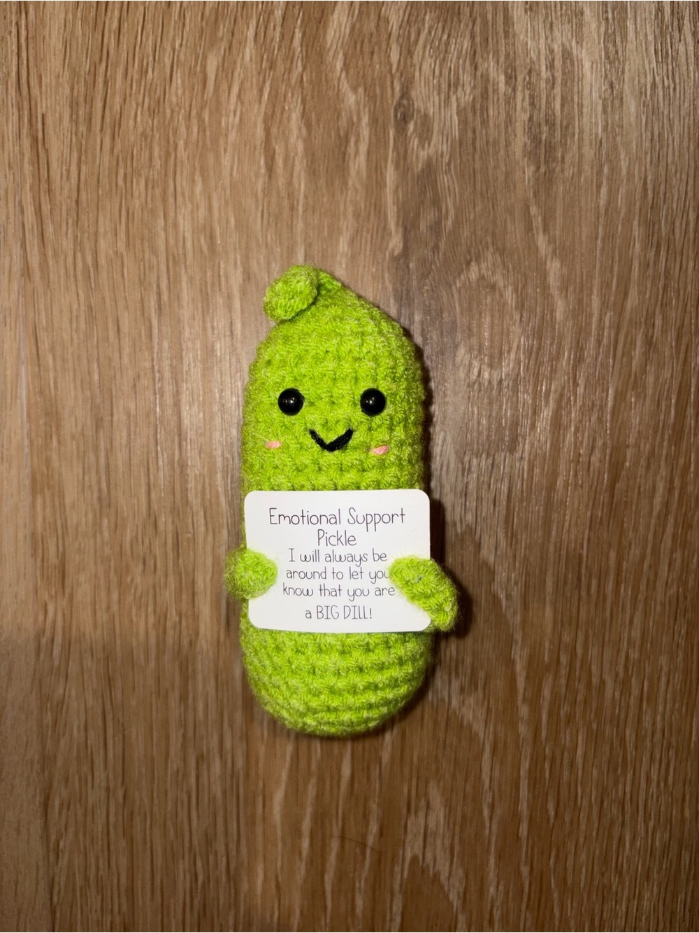 Handmade Crochet Emotional Support Pickle "Big Dill" Plush EUC